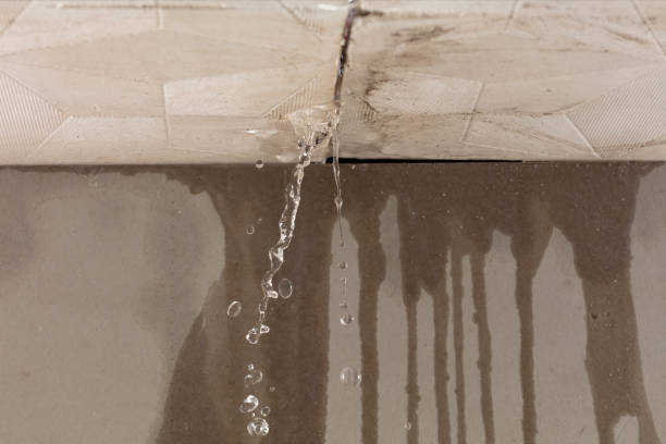 Professional Water Extraction technician working in Urbana, IA